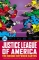DC FINEST JUSTICE LEAGUE OF AMERICA THE BRIDGE BETWEEN EARTHS TP (PRE-ORDER COMING SOON!)