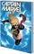 CAPTAIN MARVEL CAROL DANVERS THE MS MARVEL YEARS VOL 01 TP