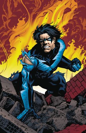 NIGHTWING (1995) VOL 06 TO SERVE AND PROTECT TP