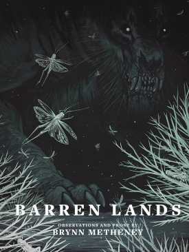 BARREN LANDS BY BRYNN METHENEY HC (PRE-ORDER)