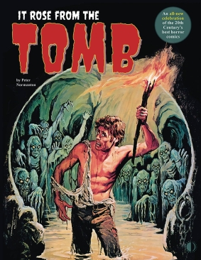 IT ROSE FROM THE TOMB THE 20TH CENTURY'S BEST HORROR COMICS SC