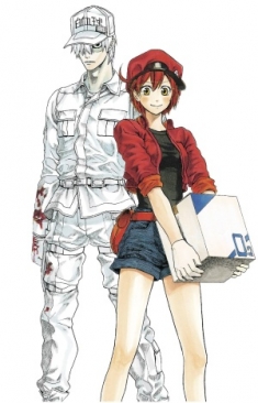 CELLS AT WORK COMPLETE BOX SET