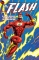 FLASH BY GRANT MORRISON AND MARK MILLAR THE DELUXE EDITION HC (PRE-ORDER)