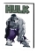 HULK GRAY BY JEPH LOEB AND TIM SALE GALLERY EDITION HC REG CVR